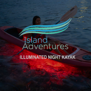 New Horizons & Breakaway Charters illuminated night kayak glowing on the water after dark.