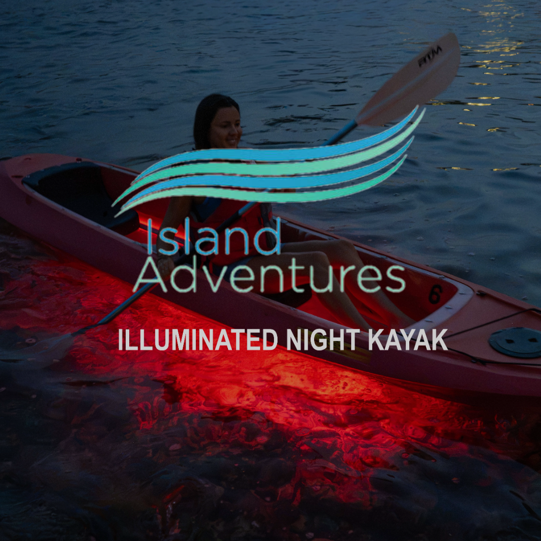 New Horizons & Breakaway Charters illuminated night kayak glowing on the water after dark.