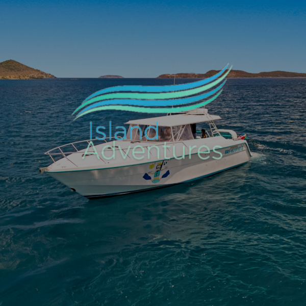 new-horizons-&-breakaway-charters (2)
