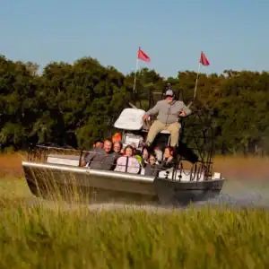 Boggy Creek Airboat Adventures - Image 3