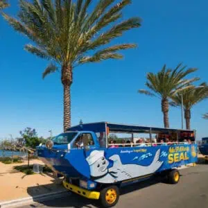 SEAL Tours - Image 3