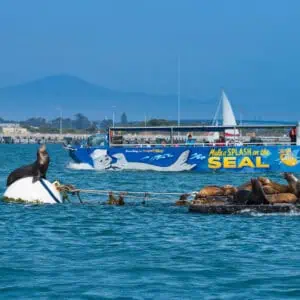 SEAL Tours - Image 4