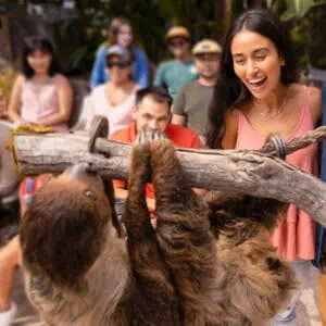 San Diego Zoo - Image 4