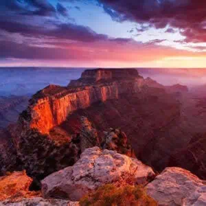 AZ Tour and Travel - Image 3