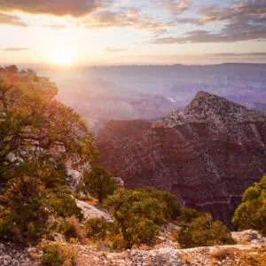 AZ Tour and Travel - Image 4