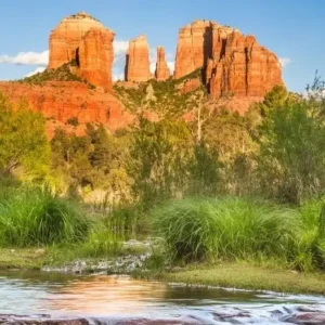 Safari Jeep Tours - Image 4