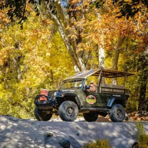 Safari Jeep Tours - Image 2