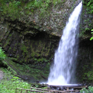 Multnomah Falls Express - Image 4