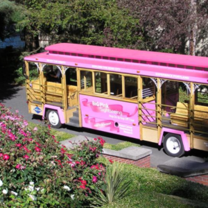 Hop-On Hop-Off Pink Trolley Sightseeing Tour - Image 4