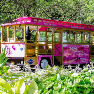 Hop-On Hop-Off Pink Trolley Sightseeing Tour - Image 2