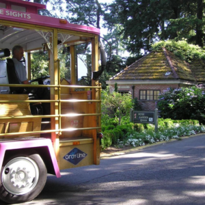 Hop-On Hop-Off Pink Trolley Sightseeing Tour - Image 3