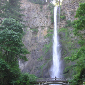 Multnomah Falls - Waterfall Express + Waterfall Trolley - Image 3